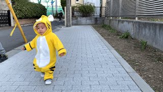 Year of the tiger, so I asked my one-year-old son to be a tiger 🐯 [1 year and 5 months old walk]