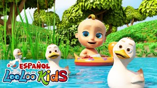 Cinco Patitos 🦆 LooLoo Kids Español - Canciones Infantiles y Música para Niños 🎶 Videos Educativos