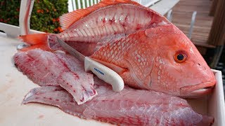 Cleaning BIG Red Snapper! How to Fillet!