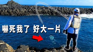 挑戰釣竿極限 內灣下就有滿滿怪物 超猛大魚就在腳邊 一直拉竿 OKUMA 烈焰磯釣竿 開箱 澎湖男人嶼【漁樂爽報】Fishing Fun NEWS EP126 #釣魚 #釣り #磯釣