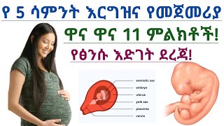 የ 5 ሳምንት እርግዝና የመጀመሪያ 11 ምልክቶች እና የፅንሱ የእድገት ደረጃዎች| 5 weeks pregnancy symptoms and fetal development