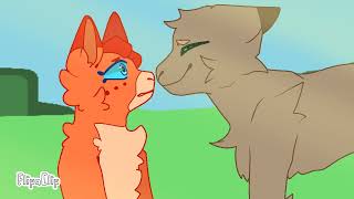 Me and my husband (Reedshine fake map parts 16-17)