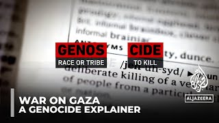 Gaza War: A Genocide Explainer