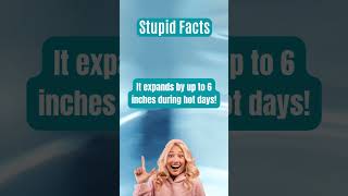 Mind Blowing Facts That Will Make You Question Everything