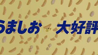 亀田の柿の種「IカリッとYOU  うましお篇」改訂版　TVCM15秒