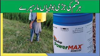 weeds control by Roundup / Glyphosate ہر قسم کی جڑیبوٹیاں مار سپرے