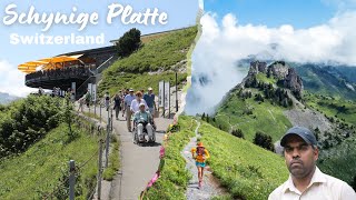 Schynige Platte | Wilderswil | Switzerland’s most beautiful and most visited place | World Flower