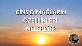 Cins Dimağların Özellikleri Nelerdir?