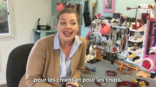 Dordogne : des accessoires chics pour chiens et chats, made in Nontron