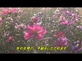 御機嫌如何 中島みゆき 歌詞付き covered by t.yukimi