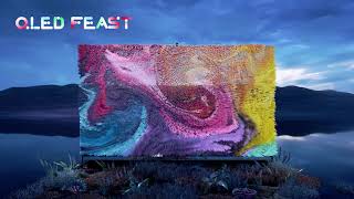 TCL India | Witness the Visual Feast of TCL QLED TV | #TCL #QLED TV #QLEDFeast