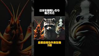 日本に来たら処された外来生物3選#動物#雑学#youtubeshorts