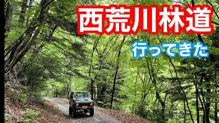 [林道探索]西荒川林道へジムニーで走ってみた[ジムニー]