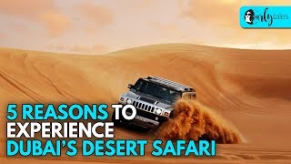 Dubai’s Desert Safari - 5 Reasons To Experience | Curly Tales