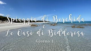 Spiaggia di Berchida e le Oasi di Bidderosa - Giorno 1