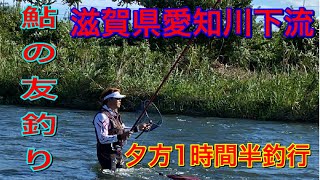 ［滋賀県愛知川下流］鮎の友釣り、初釣行、夕方1時間半