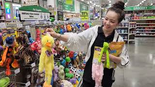 What It's Like Shopping For 7 Boston Terrier Dogs 😲