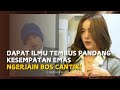 NGERJAIN BOS, MALAH DI AJAK ENA-ENA | Potongan film cinemex