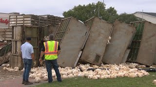Truck carrying chickens overturns in Claxton