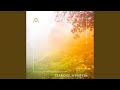 Canopy (Solo Version)