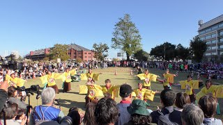 【4K】東京農業大学YOSAKOIソーラン同好会百笑（横浜よさこい祭り〜良い世さ来い2023/新港中央会場)