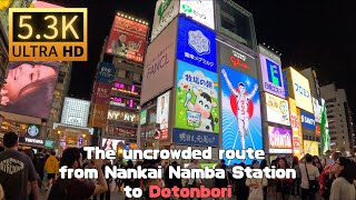 The uncrowded route from Nankai Namba Station to Dotonbori【5.3K/HDR】