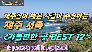 #170 [제주여행살이 ep55] 애월 한달 살아본 사람이 강추하는 제주 서부지역 핫플12곳 / 12 places to visit in Jeju Island