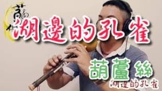 【湖邊的孔雀】國樂新編(葫蘆絲HuLuSi) 編曲、演奏：蘇俊琪(YAMAHA PSR-S970自製伴奏)Roland go mixer pro、audio-technica AT-2035