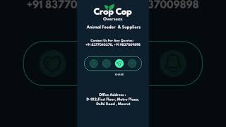 Successfully delivered 4 tonne maize to a pig farm | Crop Cop | #shorts #animalfeed #animalnutrition