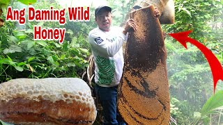 Pinaka-Mabait na Wild Honey Bee, Jackpot Kami!