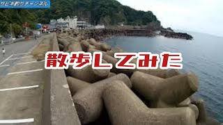 【越前海岸】玉川漁港を散歩してみた。福井の旅の思い出      日本海