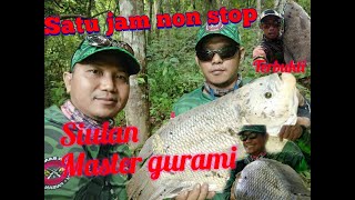 Master pemangil ikan dengan siulan ampuh 1jam nonstop