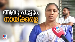 കണ്ണൂര്‍ മുഴുപ്പിലങ്ങാട് തെരുവുനായ ആക്രമണം  മുന്‍പും; കുട്ടികളെ നായ്ക്കള്‍ ആക്രമിച്ചു ​| kannur