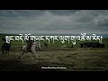 tibetan song ཨ་ཕོ་ལུག་རྫི། shepherd རིག་འཛིན་ཐར། rigzin thar