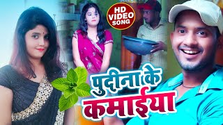 #pudina Ke Kamaiya | #Gayatri Yadav | Juhi Pandey | पुदीना के कमाईया | HRP Babu | #sabrangfilmawards