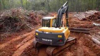 Hauling Out Logs