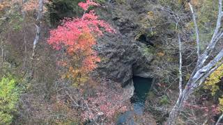 群馬県紅葉情報　吾妻渓谷4K2020.11.7　日本一短いトンネルから八ッ場ダムまで