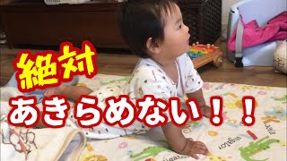 【おすわり練習】【生後11ヵ月】決定的瞬間！はじめて自分でおすわり！の巻♡ A baby sitting for the first time