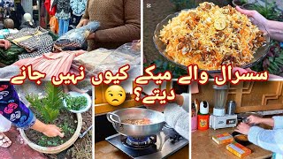 Afternoon To Evening Routine At My Mom House | Quick Beef Biryani Recipe | Winter Vacation Vlog