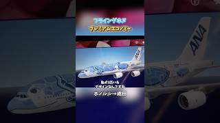 快適すぎて感動した✨ANAフライングホヌのプレエコでホノルル→成田へ✈️#ana #フライングホヌ #海外旅行 #飛行機 #ハワイ #海外vlog #shorts