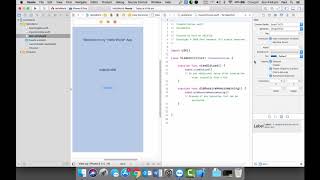 Xcode Beginner Series - 02 Label | Buttons | Hello World