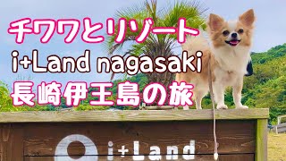 【わんこと旅行】i+Land nagasakiに行ってきた　ちわわぐらし第１０話