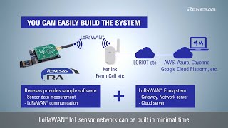 RA LoRa®-based Solution