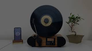 Fuse Vert Vertical Vinyl Record Player with Bluetooth \u0026 FM Radio | MoMA Design Store