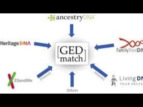 MY GEDMATCH ETHIOHELIX & DODECAD PROJECT RESULTS USING MY 23 & ME RAW ...