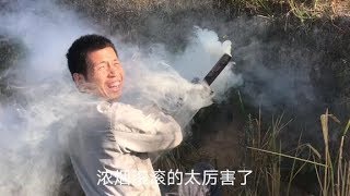 广西平南农村小伙用自制捉老鼠神器，加了辣椒这次能抓到老鼠吗