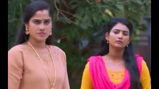 Karthika Deepam - Full Episode - 74 - Premi, Nirupam - Zee Keralam