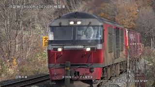 JR貨物 EH800形とDF200形機関車 JR Freight EH800 and DF200 locomotives