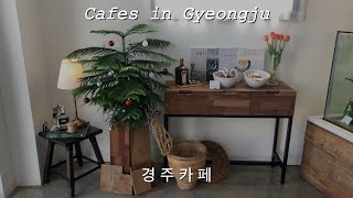 (Eng) 경주시민이 추천하는 경주카페 | 일상브이로그 | Two of my favourite cafes in Gyeongju