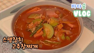 [VLOG] 스팸 넣고 참치 넣고 만든 뜨끈한 고추장찌개 / 국물요리 / 스팸찌개 / 참치찌개 / 스팸참치고추장찌개